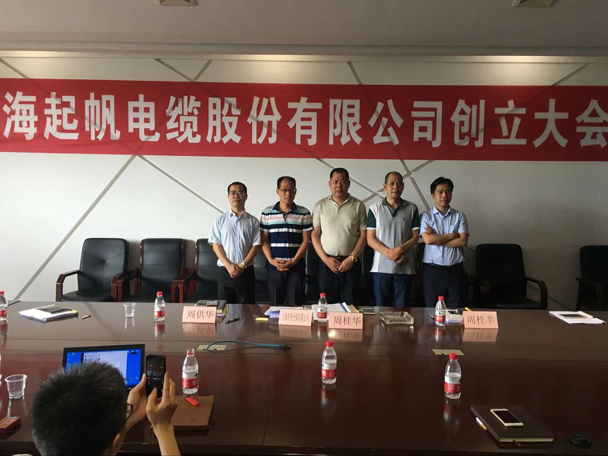 上海起帆电缆股份有限公司第一次股东大会