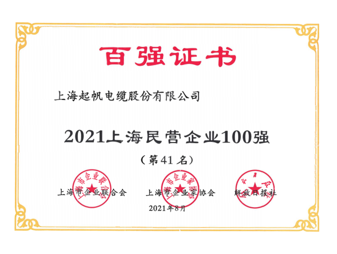 上海民营企业100强